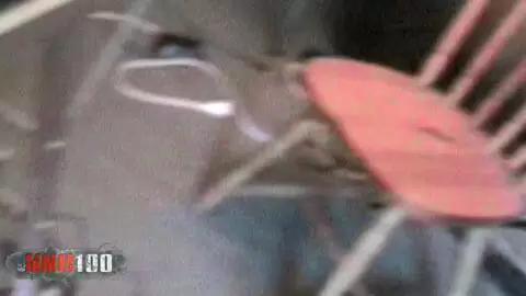 POV Skinny French Brunette Alys Rebel Gets Nailed Hard photo 05