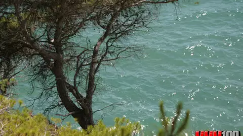 Horny brunette Alys Rebel doing a hot striptease in the woods 