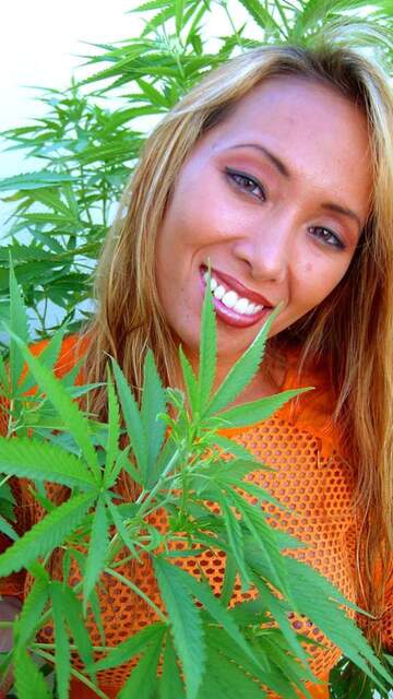 Bamboo Free Sexy Photo #032