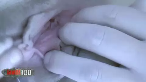 Little improvised fuck with Barbara Nux photo 10