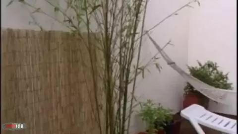 Horny brunette Eva stripping  photo 09