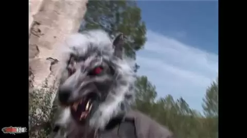 Luna and Alys getting fucked in the nature by ....  photo 07