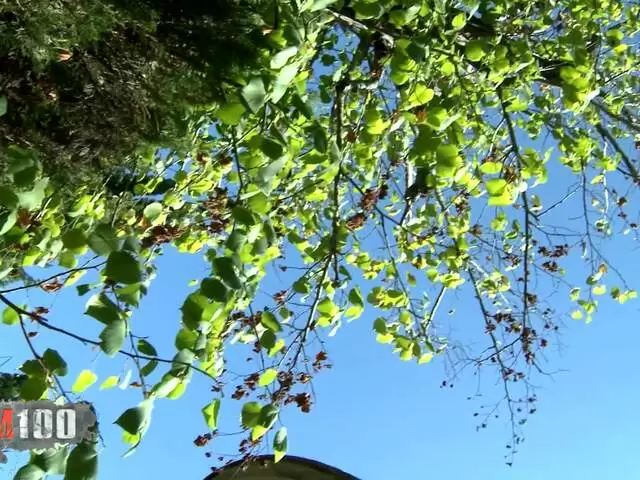 Cleaning the camera lens photo 6