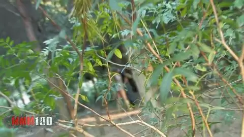 girl sucking her BF in the wood, shoot by a voyeur photo 4