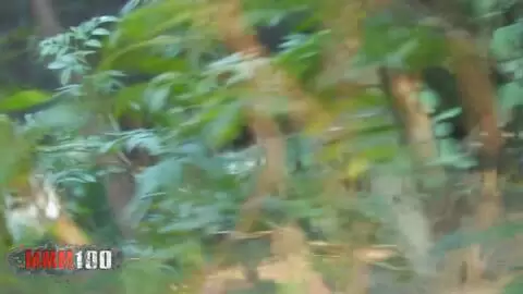 girl sucking her BF in the wood, shoot by a voyeur photo 5