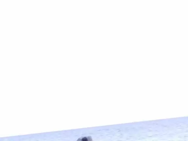 Nathalie Sainlouis gives Jorge a good blowjob on the beach photo 1