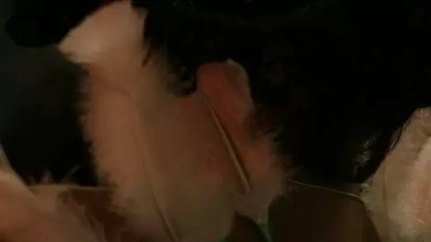  Krystal at Prova 2007 photo 3