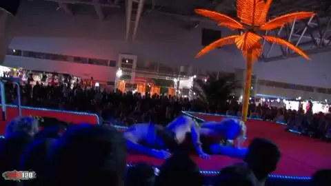  Shana Spirit at Prova 2008 photo 09