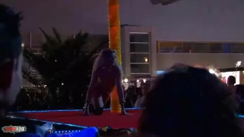  Shana Spirit at Prova 2008 photo 13