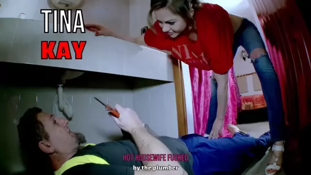 Hot housewife fucked by the plumber