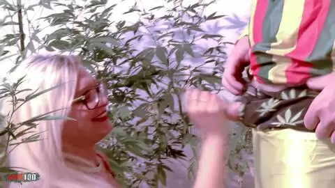 Threesome with Vanessa Coccolona at the marijuana plantation photo 02