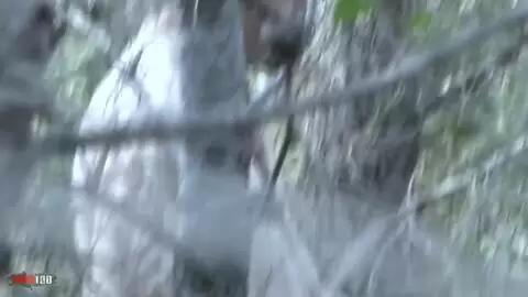 Voyeur clip of a girl blowing her BF in the forest photo 04