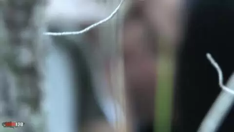 Voyeur clip of a girl blowing her BF in the forest photo 13